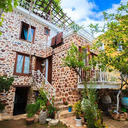 Otel Lemon Villa Hotel (Adults Only) 3*